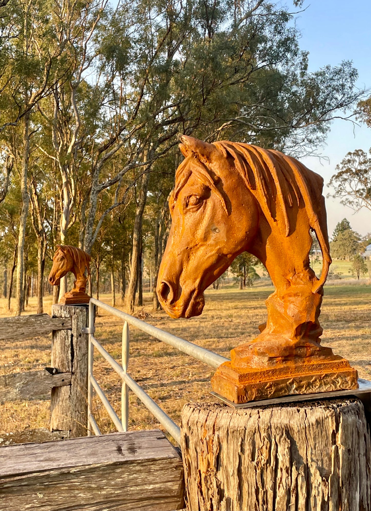 Rust Horse Head Cast Iron Large