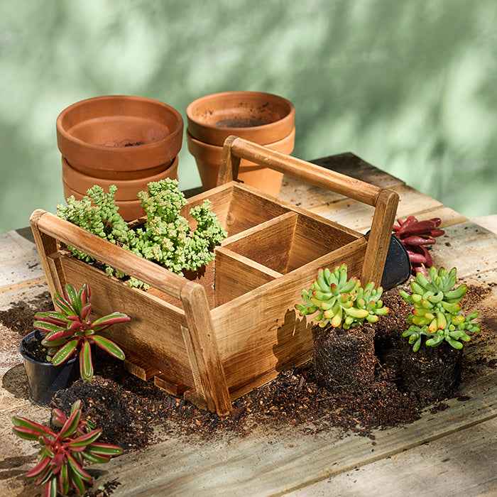 Timber Trug Caddy