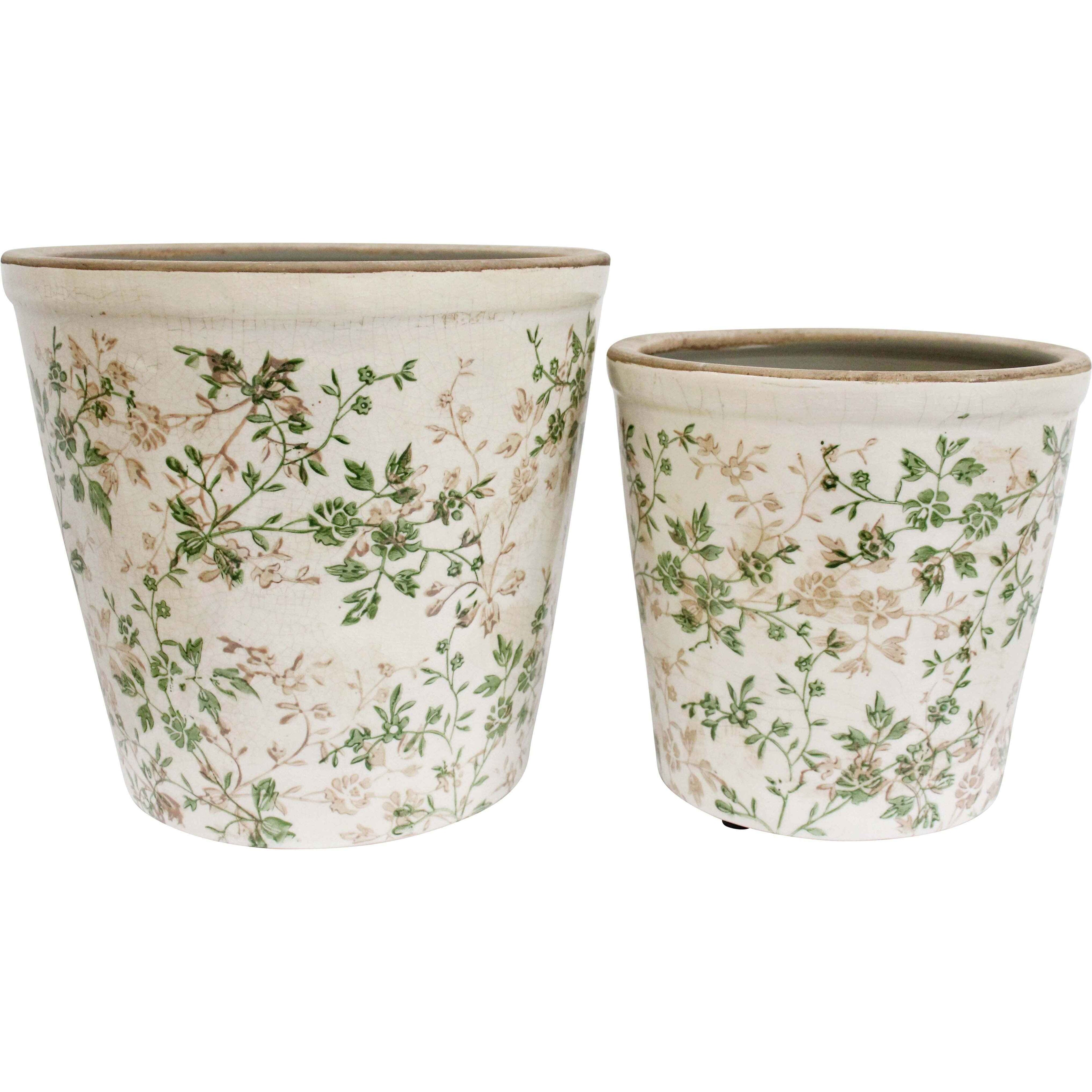 Evergreen Planter