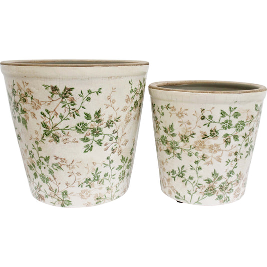 Evergreen Planter