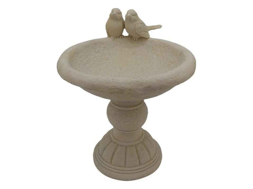 Bird Bath Feeder